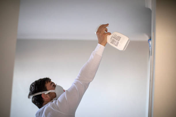 Best Toxic Mold Removal  in Sheridan, CO