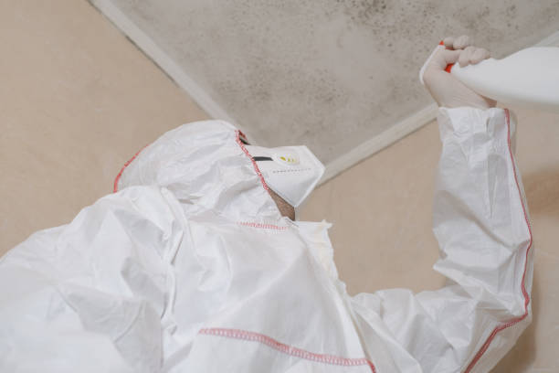 Mold Testing and Removal in Sheridan, CO