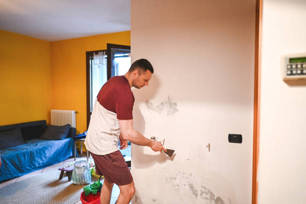 Best Office Mold Removal Services  in Sheridan, CO