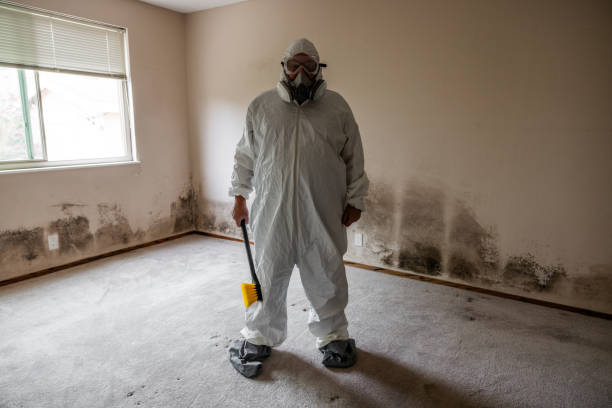 Best Professional Mold Removal  in Sheridan, CO