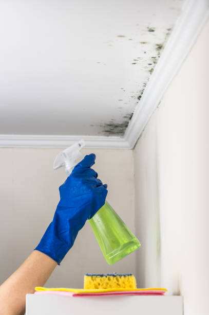 Best Residential Mold Removal  in Sheridan, CO